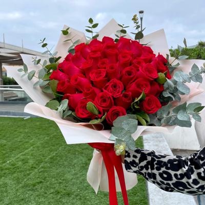 Realeza (50 Rosas)