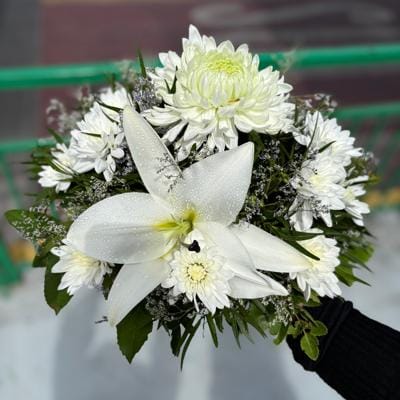 Blanco Paz
