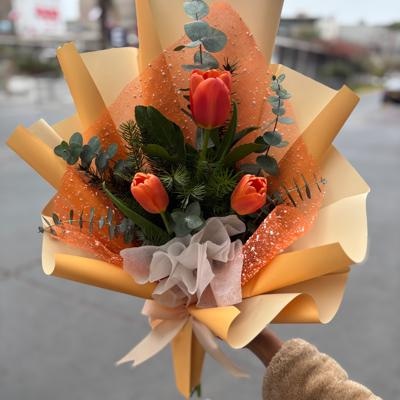 Tulipán