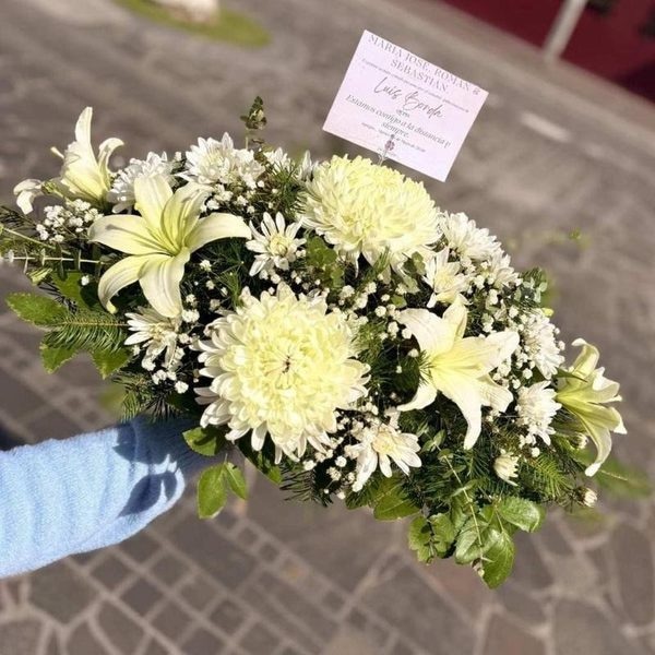 Serenidad