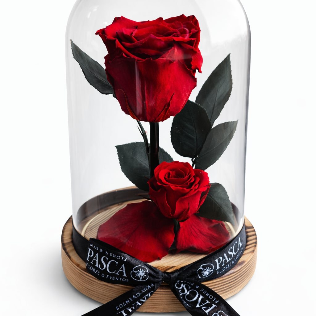 Rosa Eterna Preservada XL - Imagen 1