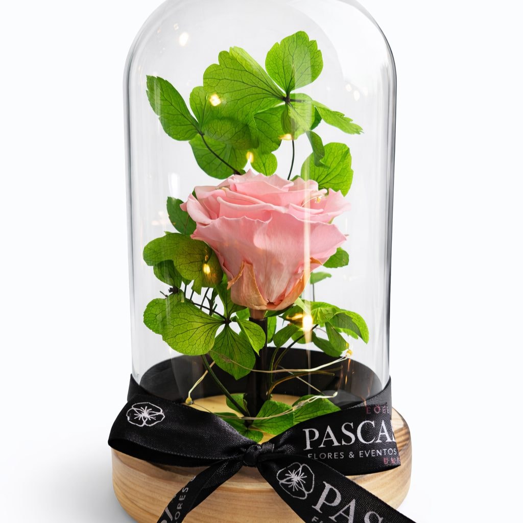 Rosa Lizzy Preservada cúpula M con Luz - Imagen 1