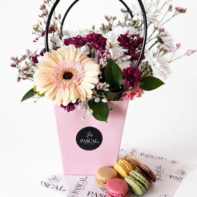 Canasto Silvestre + 6 macarons