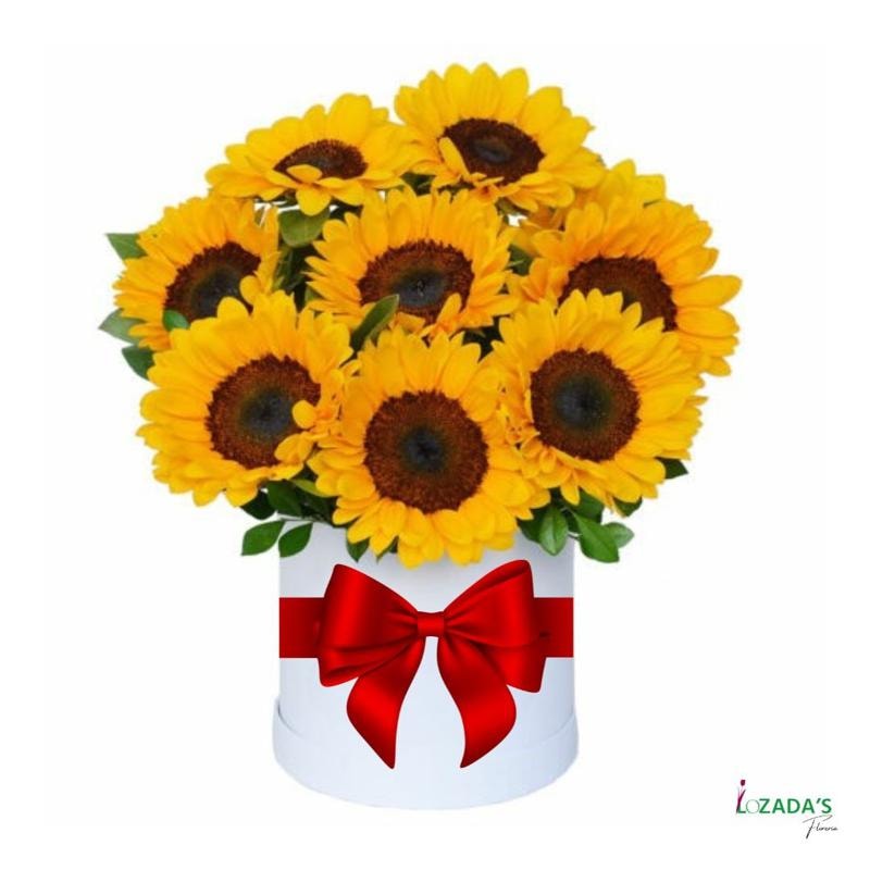 Caja de Girasoles – Energía y Luz en un Solo Regalo - Imagen 1