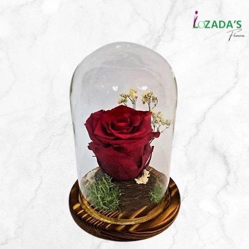 Rosa Preservada - Elegancia que es Eterna - Imagen 1