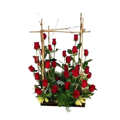 Bosque de Rosas Rojas - Elige cantidad