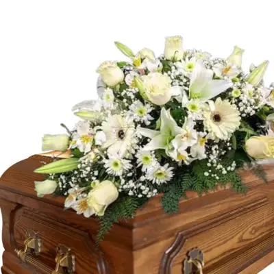 Cubre Urnas Tradicional Blanco
