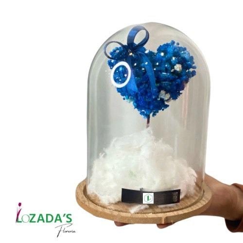 Corazón de Cielo en Domo - Imagen 1