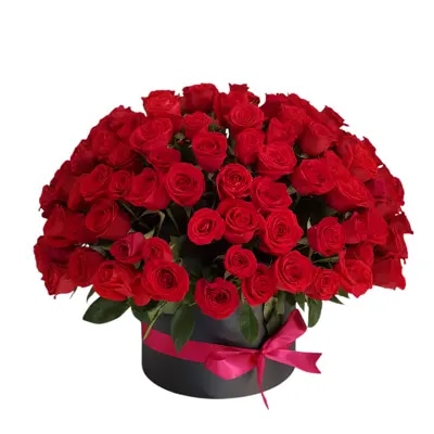 Macetero de Rosas Rosas Gigante - Elige Cantidad