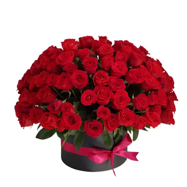 Macetero de Rosas Rosas Gigante - Elige Cantidad