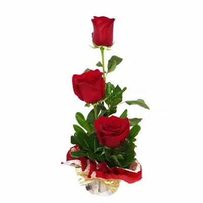 Magia - Arreglo de 3 Rosas Rojas