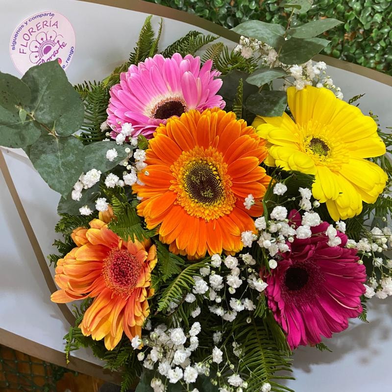Ramo redondo 5 gerberas - Imagen 1