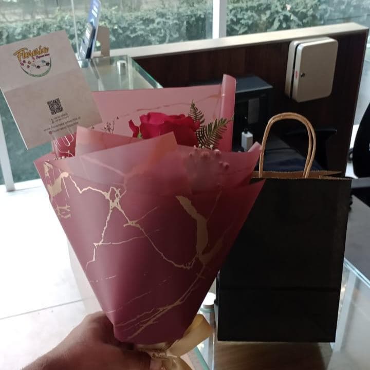 Pedido 37559
