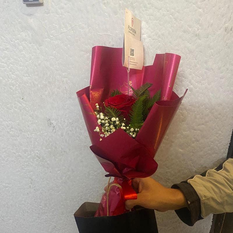 Pedido 43933