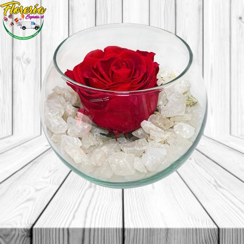 Rosa preservada en pecera con piedras - Imagen 1