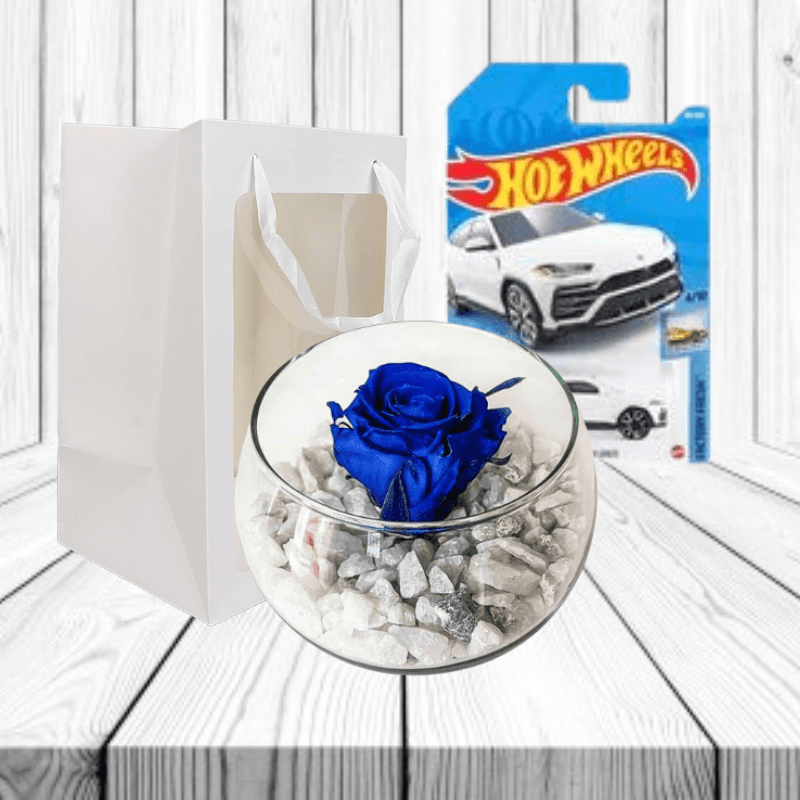 Rosa azul preservada en pecera y auto Hot Wheels - Imagen 1