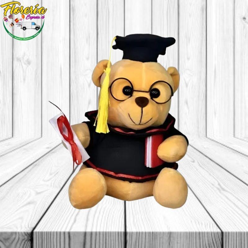 PELUCHE GRADUACION - Imagen 1