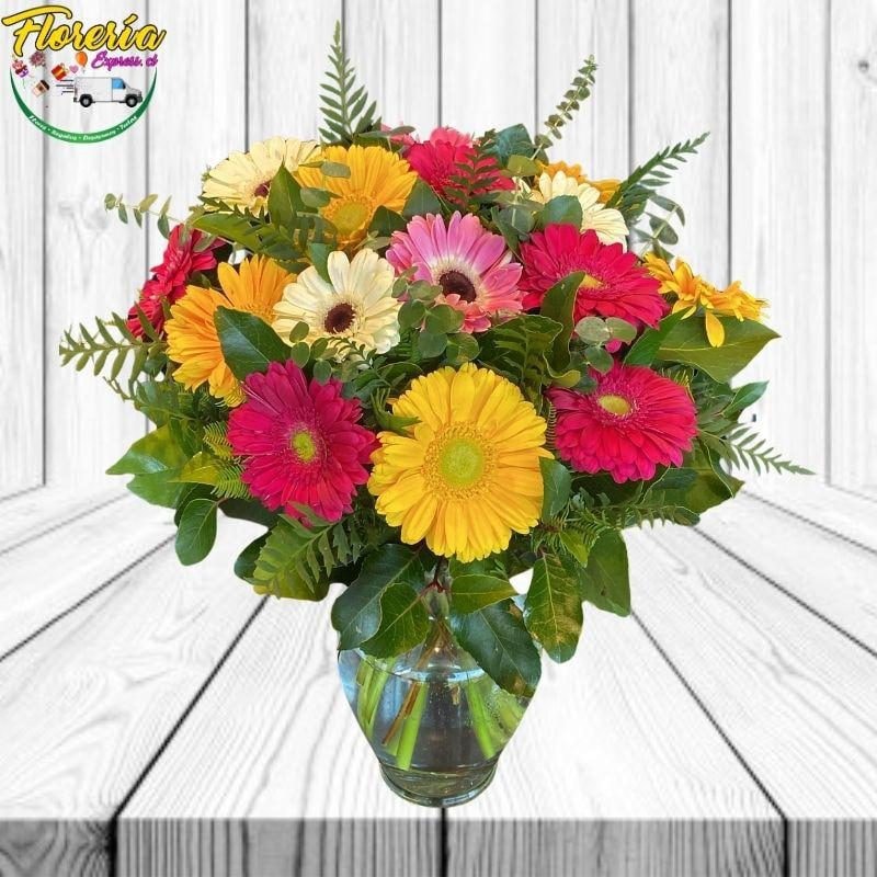 FLORERO DE 15 GERBERAS MIX , FOLLAJE, GYPSOPHILA Y LAZO - Imagen 1