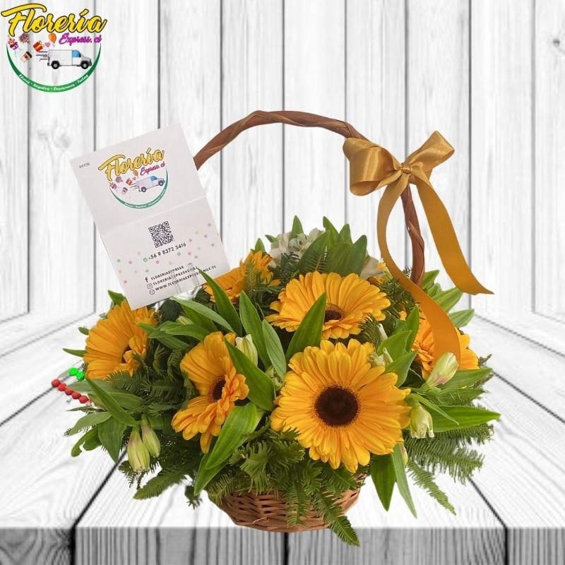 CANASTA DE 10 GERBERAS Y FOLLAJE - Imagen 1
