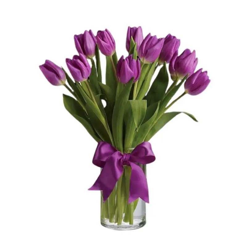 Florero 10 Tulipanes Morados