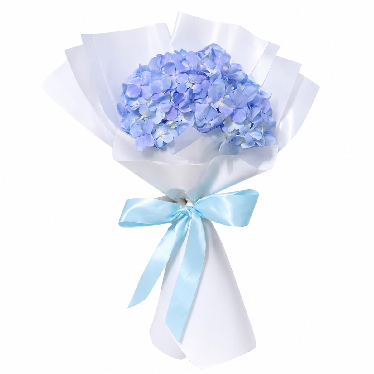 Hortensia arreglada - Imagen 1