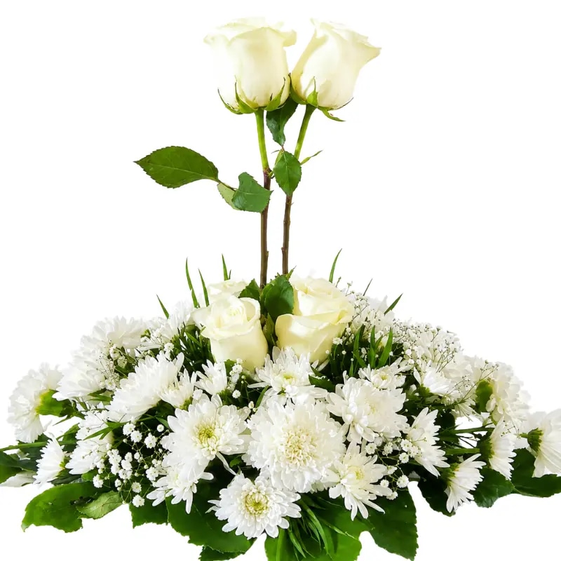 Cojin Funebre de 4 Rosas, Margaritas y follaje