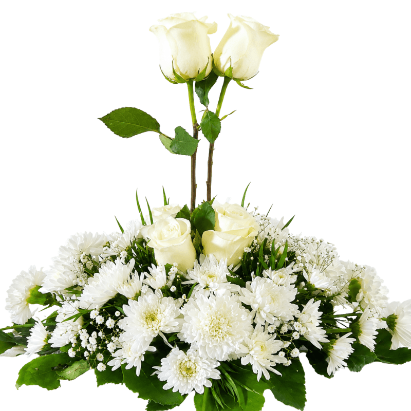 Cojin Funebre de 4 Rosas, Margaritas y follaje - Imagen 1